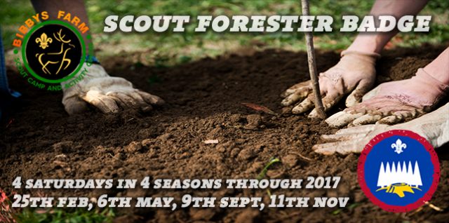 Forester Badge 2017 Forester Badge 2017