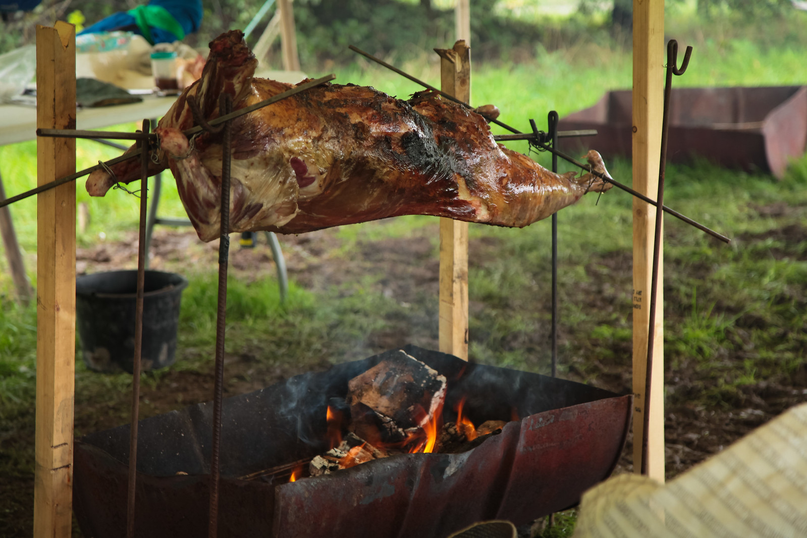 Bushcraft Course